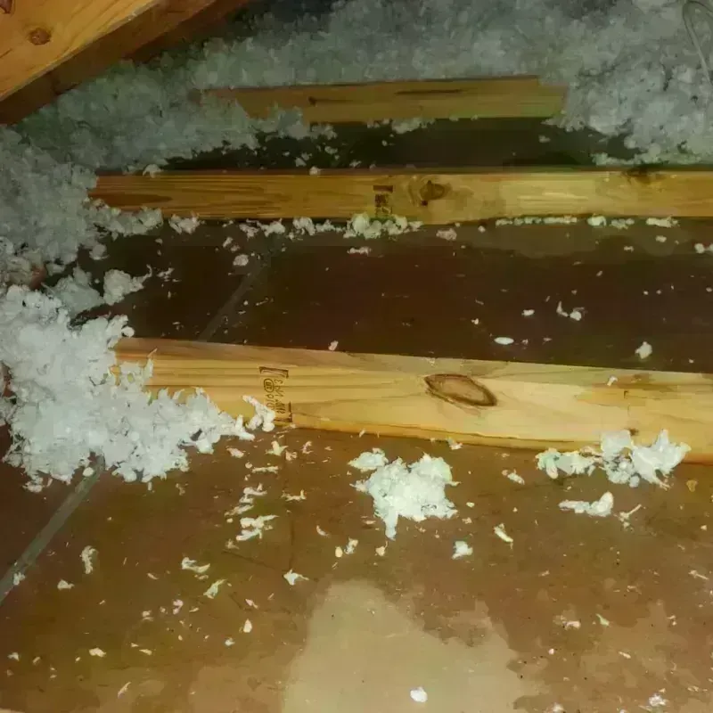 Attic Water Damage in Rush City, MN