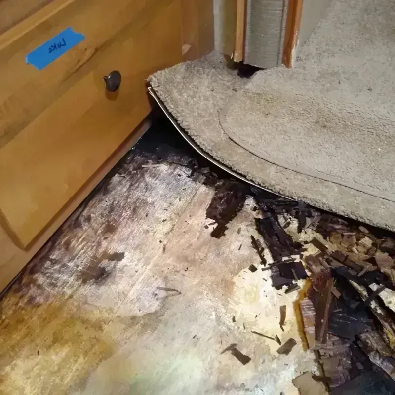 Wood Floor Water Damage in Rush City, MN